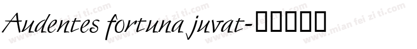 Audentes fortuna juvat字体转换